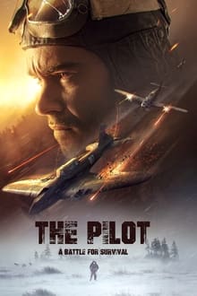 The Pilot : A Battle for Survival